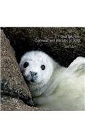 Seal Secrets