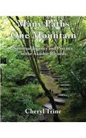 Many Paths, One Mountain: Spiritual Journey and Practice in the Akashic Records