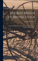 Best Breeds of British Stock