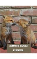 3 Month Family Planner: Baby Foxes undated weekly diary and organizer for 13 weeks to keep track of everyone's plans