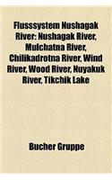 Flusssystem Nushagak River