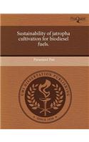 Sustainability of Jatropha Cultivation for Biodiesel Fuels