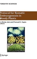 Protocol for Somatic Embryogenesis in Woody Plants