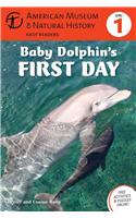 Baby Dolphin's First Day