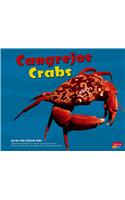 Cangrejos/Crabs