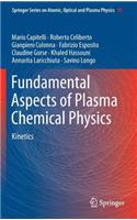 Fundamental Aspects of Plasma Chemical Physics