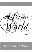 A Perfect World