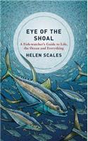 Eye of the Shoal