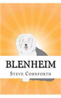Blenheim: (English)