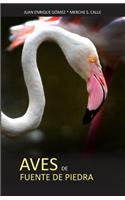 Aves de Fuente de Piedra