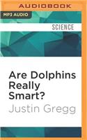 Are Dolphins Really Smart?
