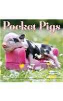 Pocket Pigs Wall Calendar 2019: The Famous Teacup Pigs of Pennywell Farm: The Famous Teacup Pigs of Pennywell Farm