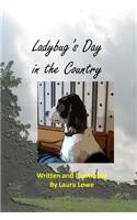 Ladybug's Day in the Country