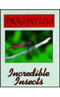 Dragonflies