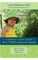 Common Sense Guide to Your Child's Special Needs