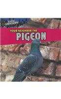 Your Neighbor the Pigeon: (City Critters)