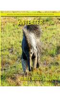 Anteater