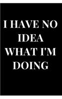 I Have No Idea What I'm Doing