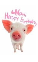 Happy 46th Birthday: Super Sweet Piggy Themed Happy Birthday Book to Use as a Journal or Notebook. Better Than a Birthday Card!