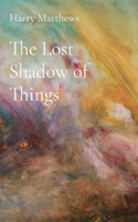 Lost Shadow of Things