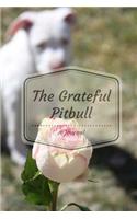 The Grateful Pitbull - A Journal