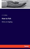 How to Fish: Hints on Angling