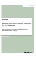 Diagnose, Differenzierung und Förderung bei Hochbegabung: Eine Unterrichtsreihe über Differenzierungsmöglichkeiten leistungsstarker Schüler (4. Klasse)