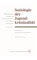 Soziologie Der Jugendkriminalität