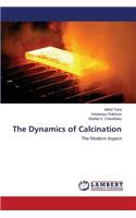 Dynamics of Calcination