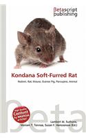 Kondana Soft-Furred Rat