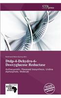 Dtdp-4-Dehydro-6-Deoxyglucose Reductase: (English)