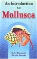 An Introduction To Mollusca