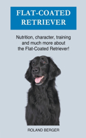 Flat Coated Retriever