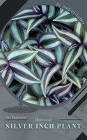 silver inch plant: Plant Guide