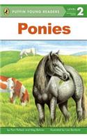 PYR LV 2 : Ponies