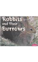 Rabbits and Their Burrows