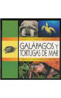 Galapagos/Tortugas de Mar: (English)