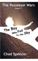 Boy Who Fell into the Sky