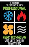 Professional HVAC Technician