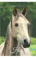 Horses notebook