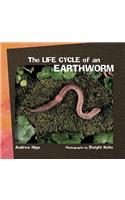 Life Cycle of an Earthworm