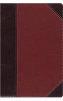 ESV Study Bible, Personal Size