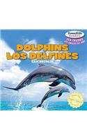 Dolphins / Los Delfines