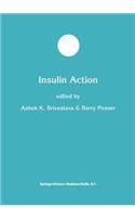 Insulin Action