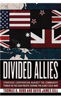 Divided Allies