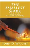 The Smallest Spark