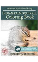 Indian Palm Squirrel Coloring Book for Adults