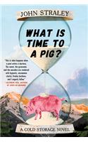 What Is Time To A Pig?