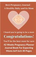 Best Pregnancy Journal a Healthy Baby and its Mom