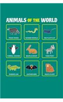 Animals Of The World